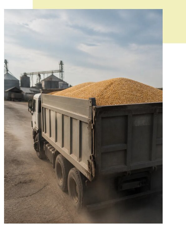 Перевозка сельхозпродукции навалом в Ярцево по цене от 3052 р. | Агросервис-Рцв